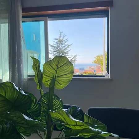 Apartman Brisa Castro