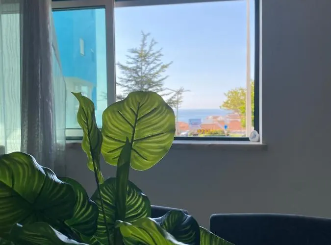 Apartment Brisa Castro